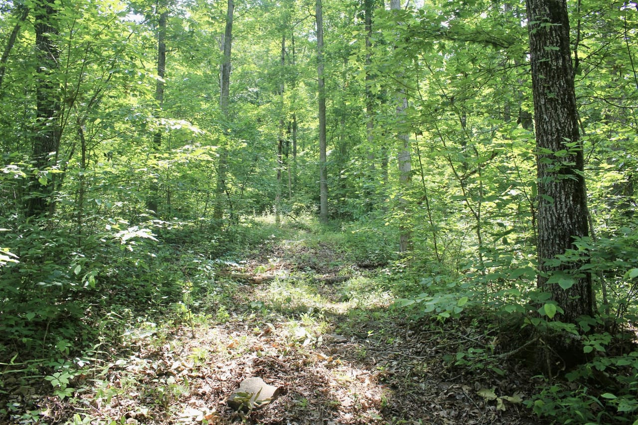 Listing Image 42