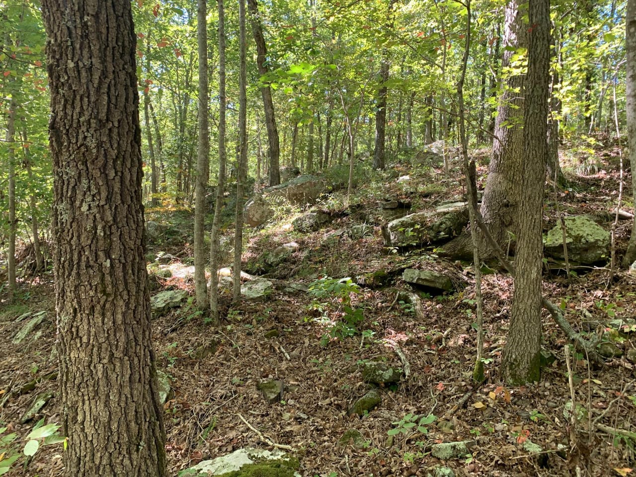 Listing Image 46