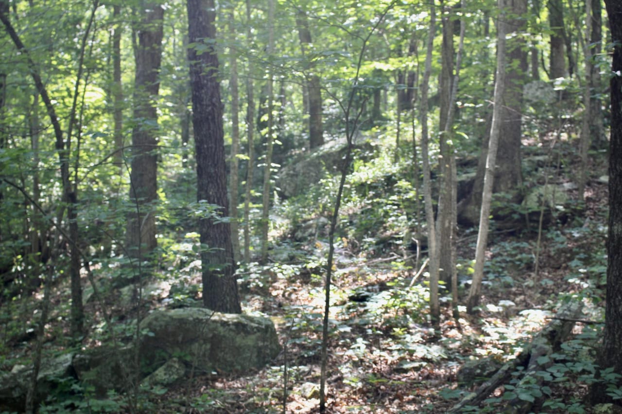 Listing Image 71