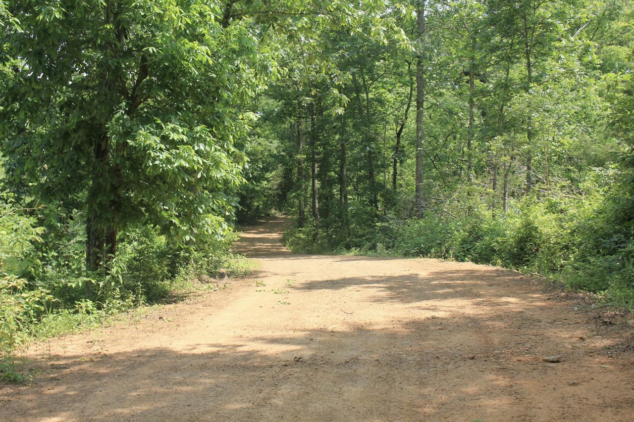 Listing Image 75