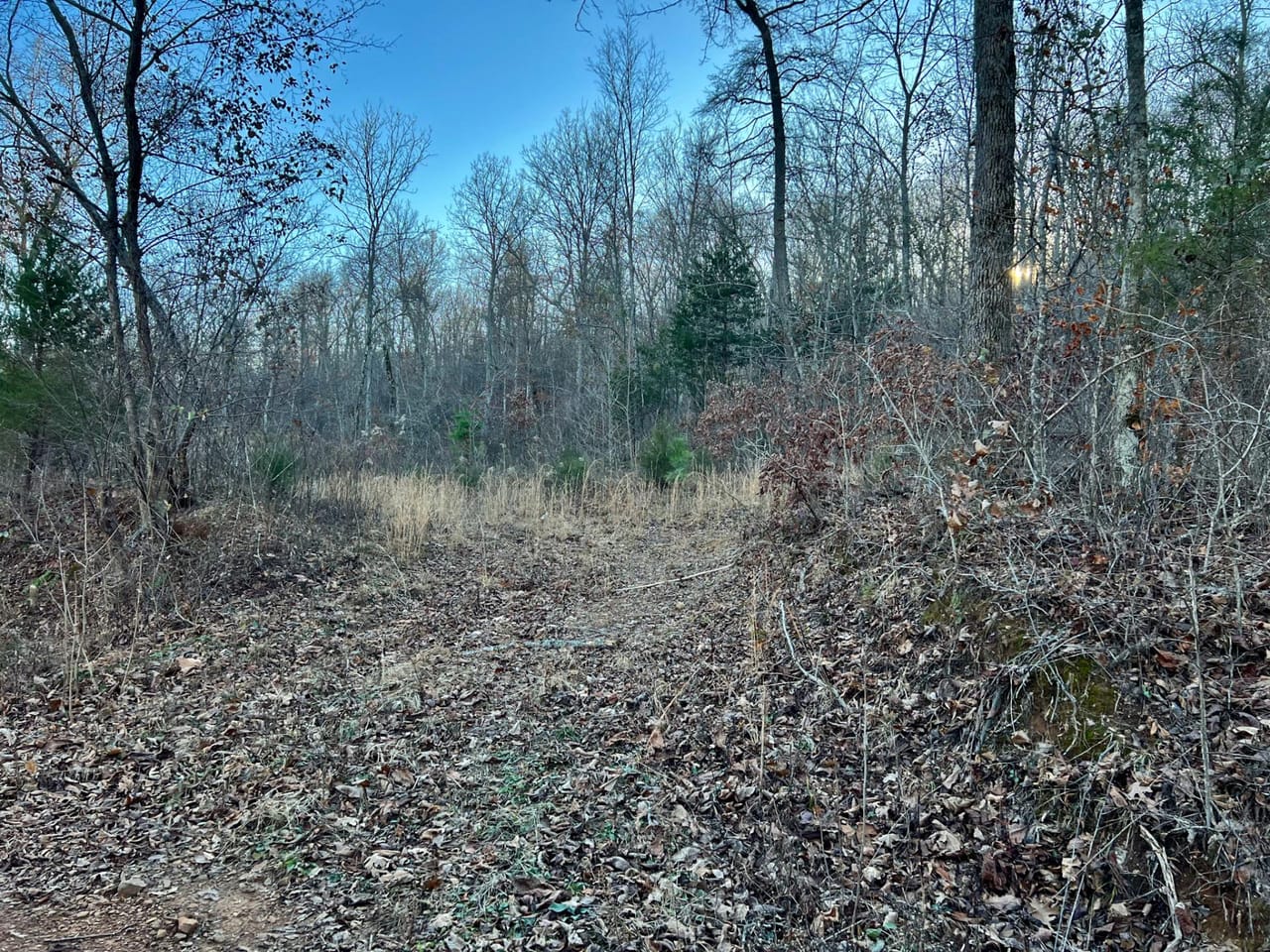 Listing Image 80