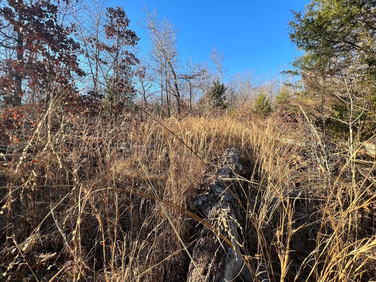 Listing Image 81