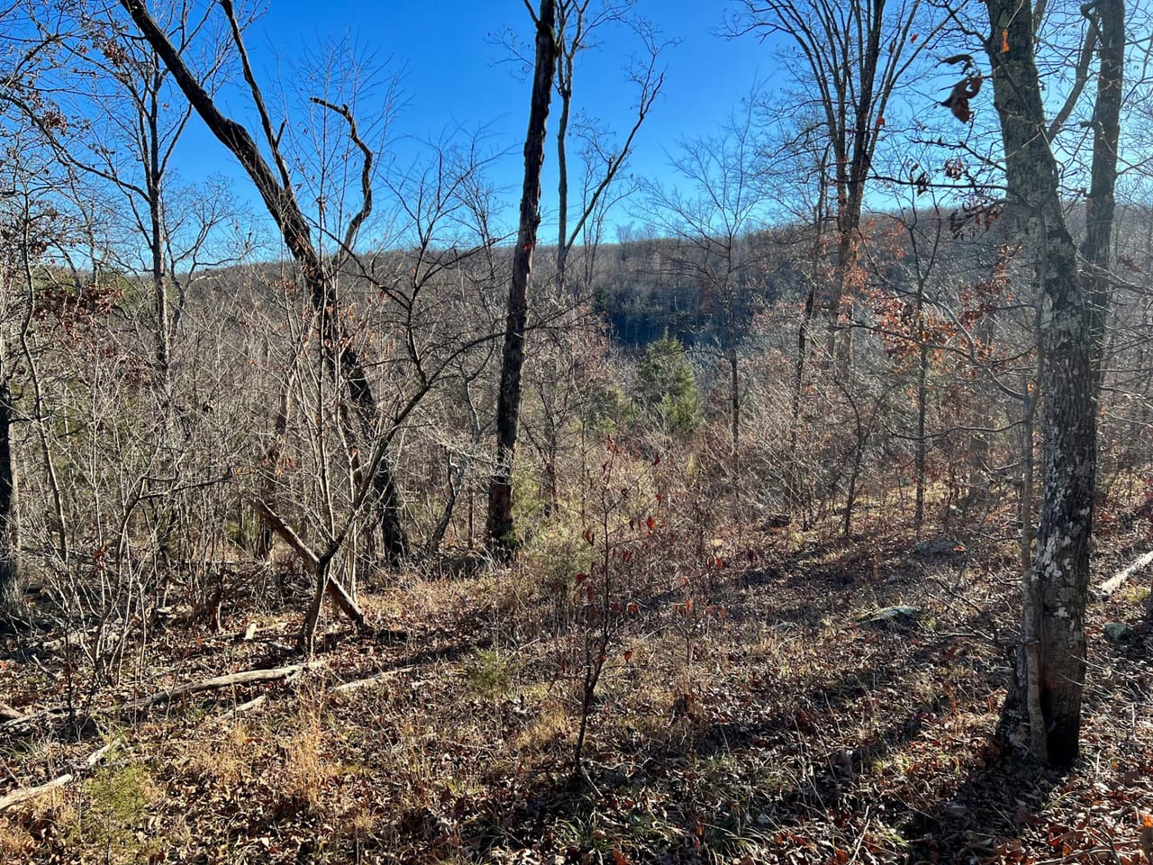 Listing Image 3
