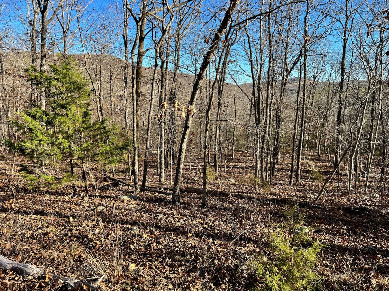 Listing Image 4