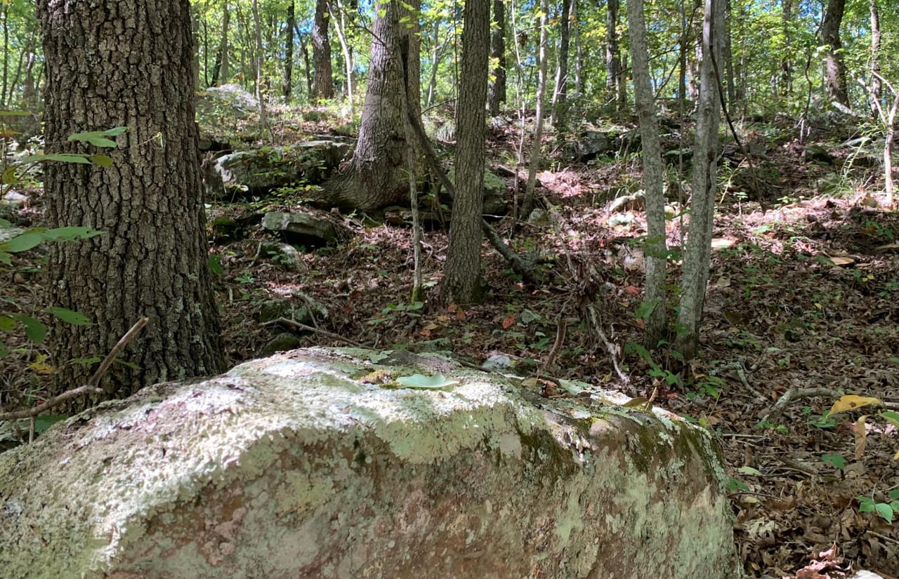 Listing Image 11