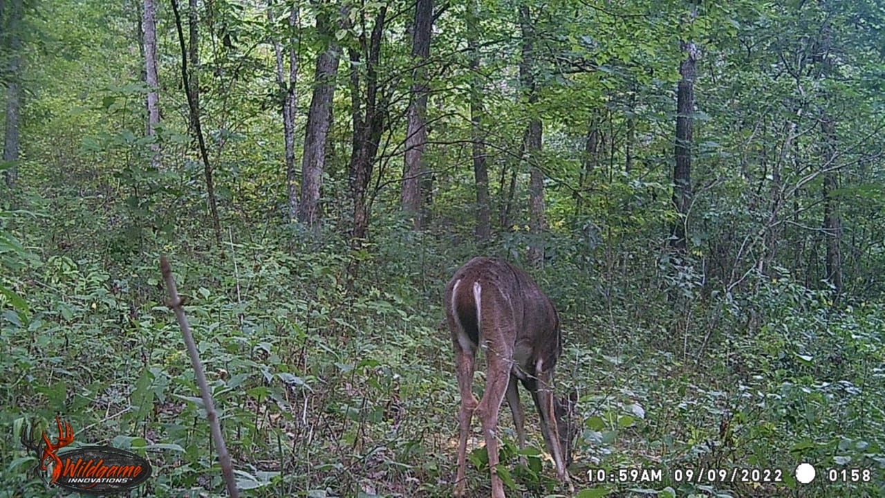 Listing Image 34