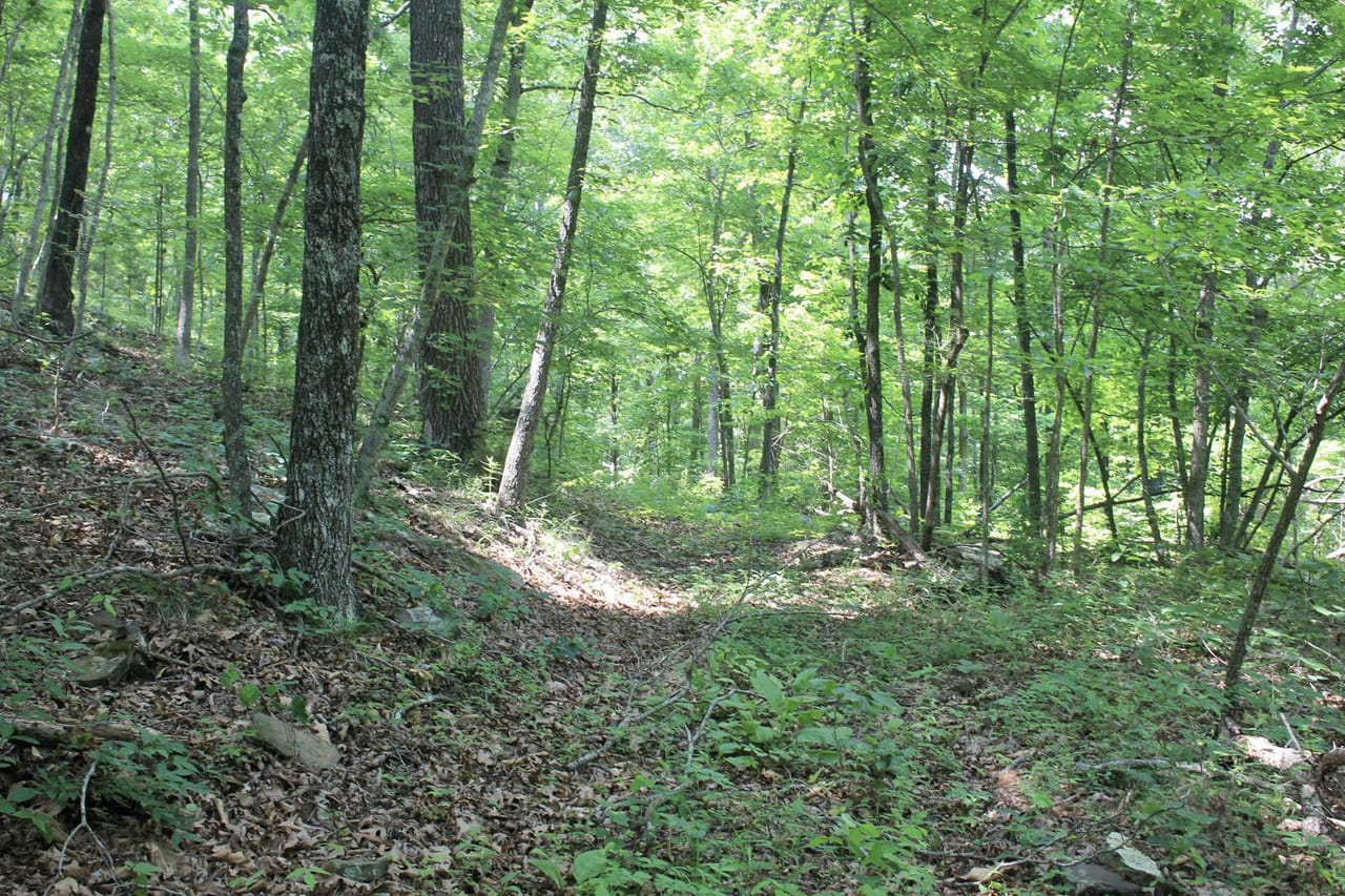 Listing Image 40