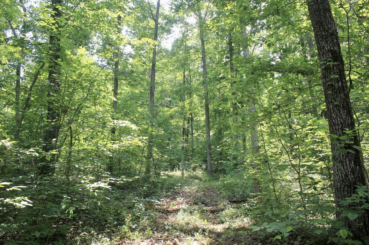 Listing Image 43
