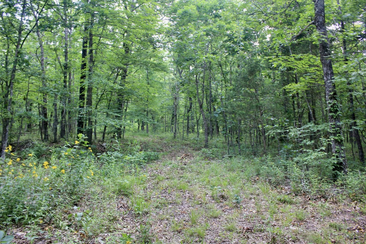 Listing Image 45
