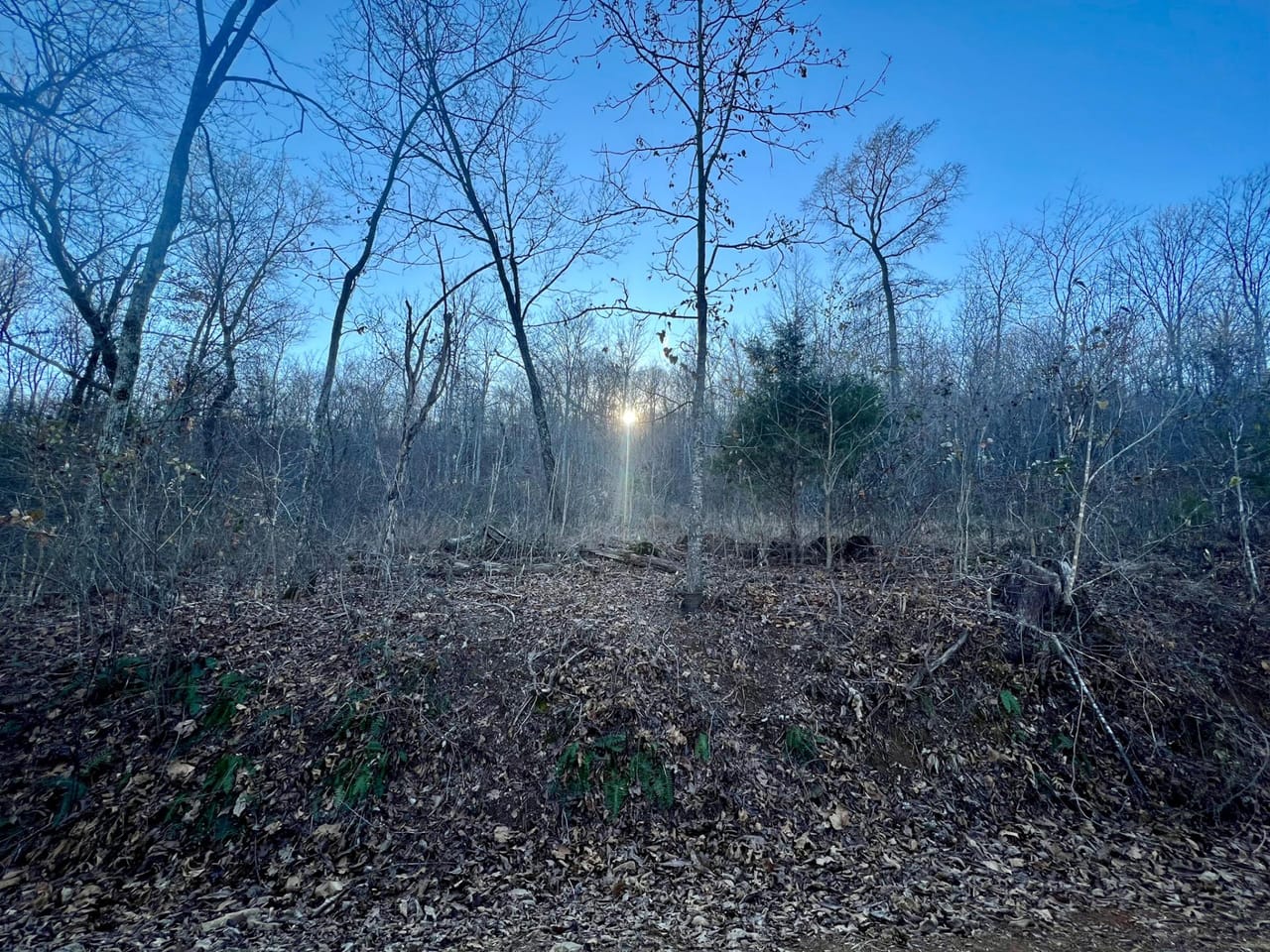 Listing Image 51