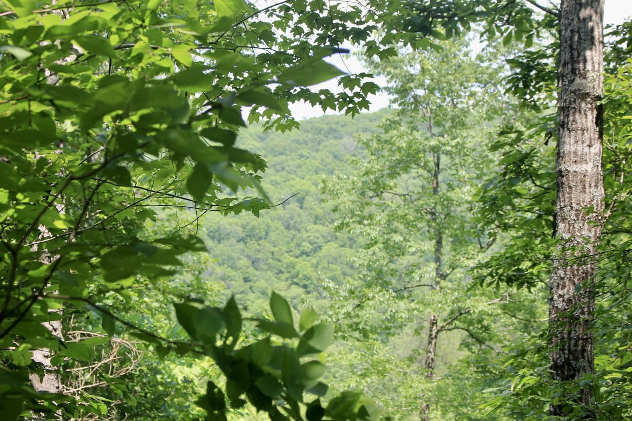 Listing Image 52