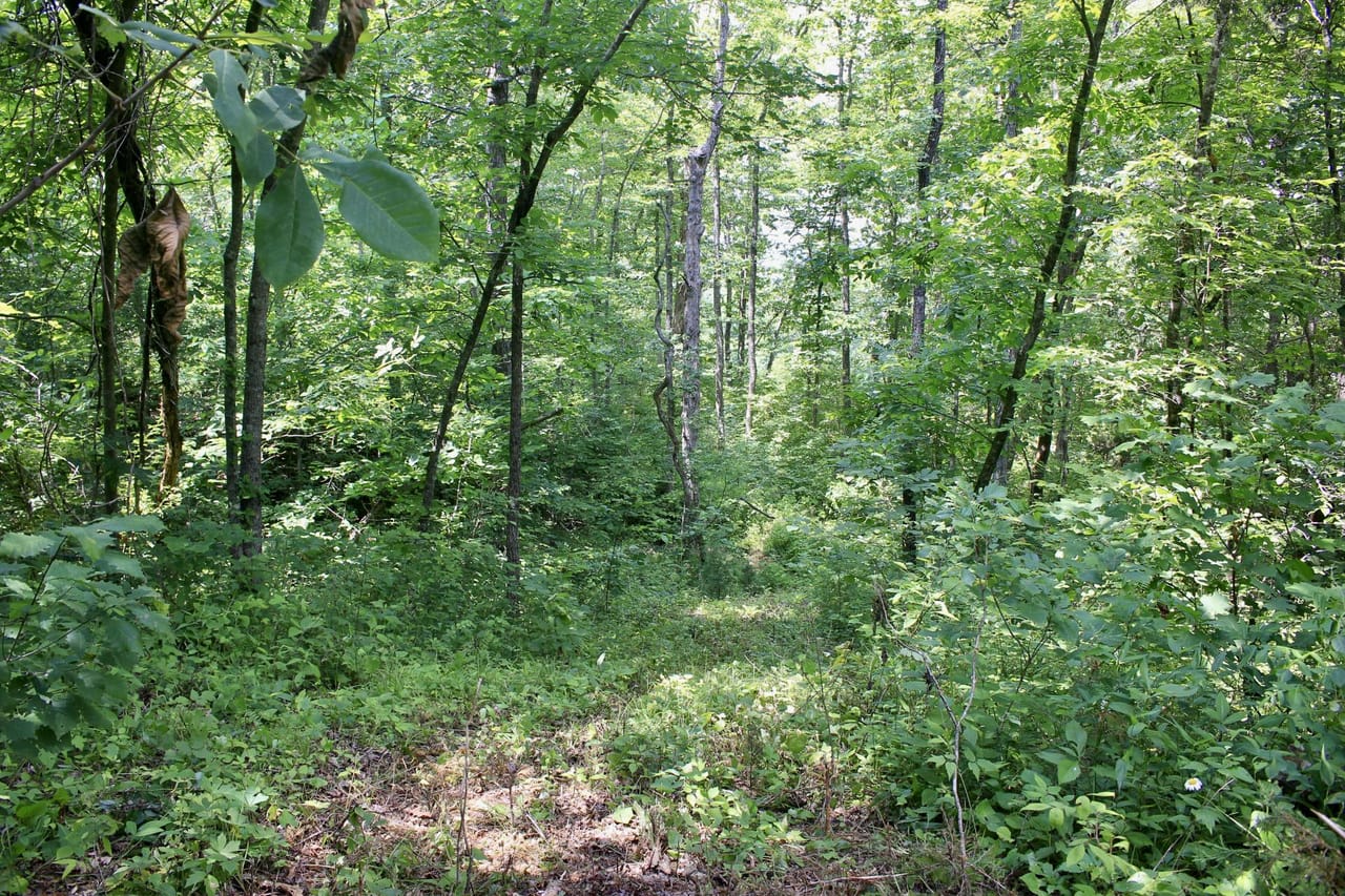 Listing Image 63