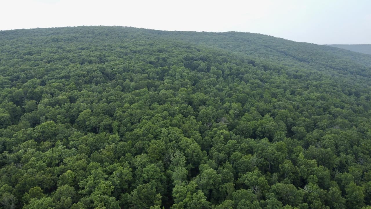 Listing Image 66