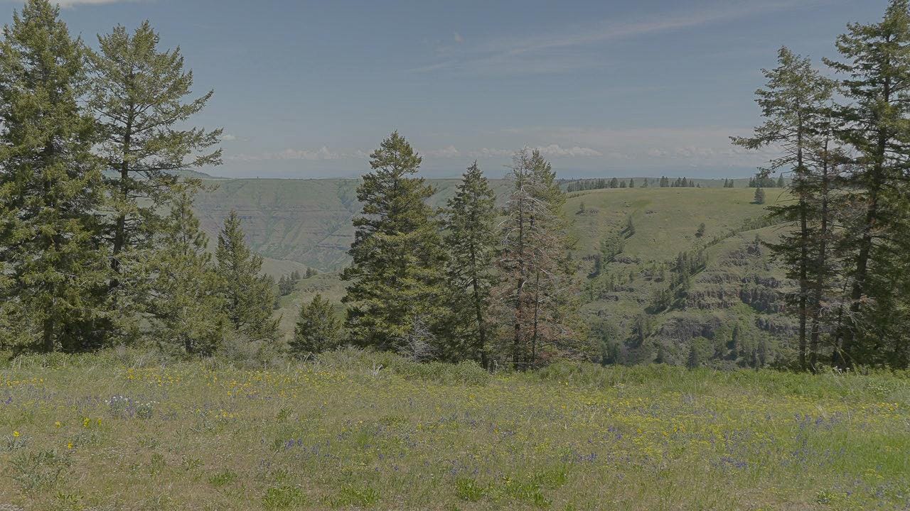 Listing Image 59