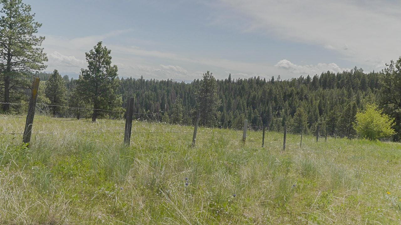Listing Image 60