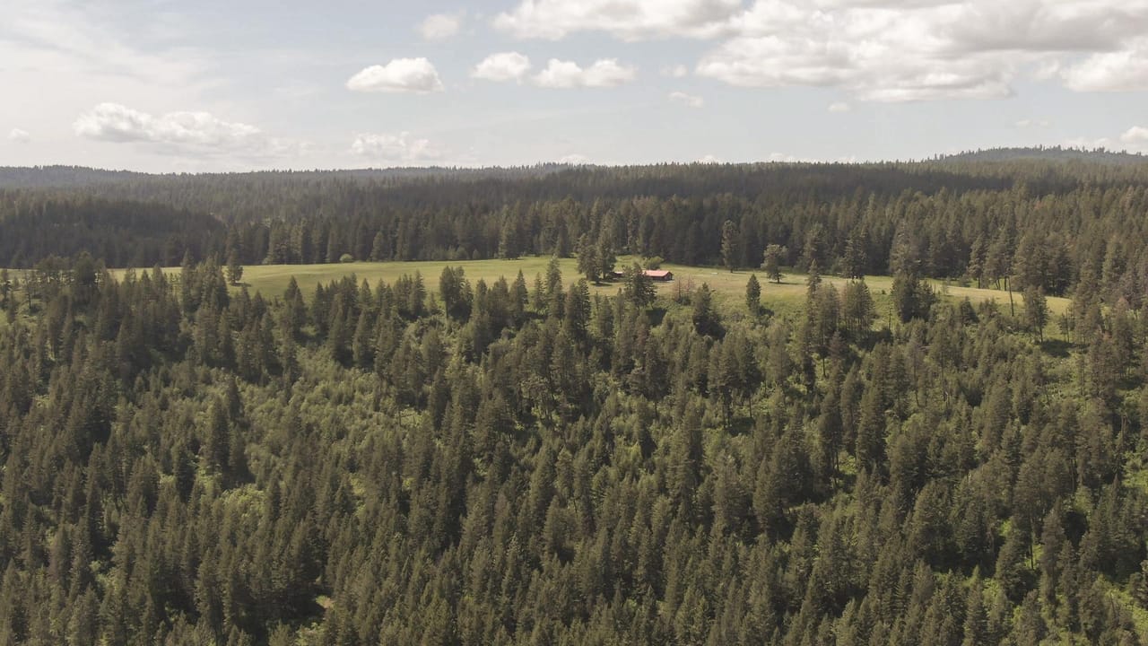 Listing Image 70