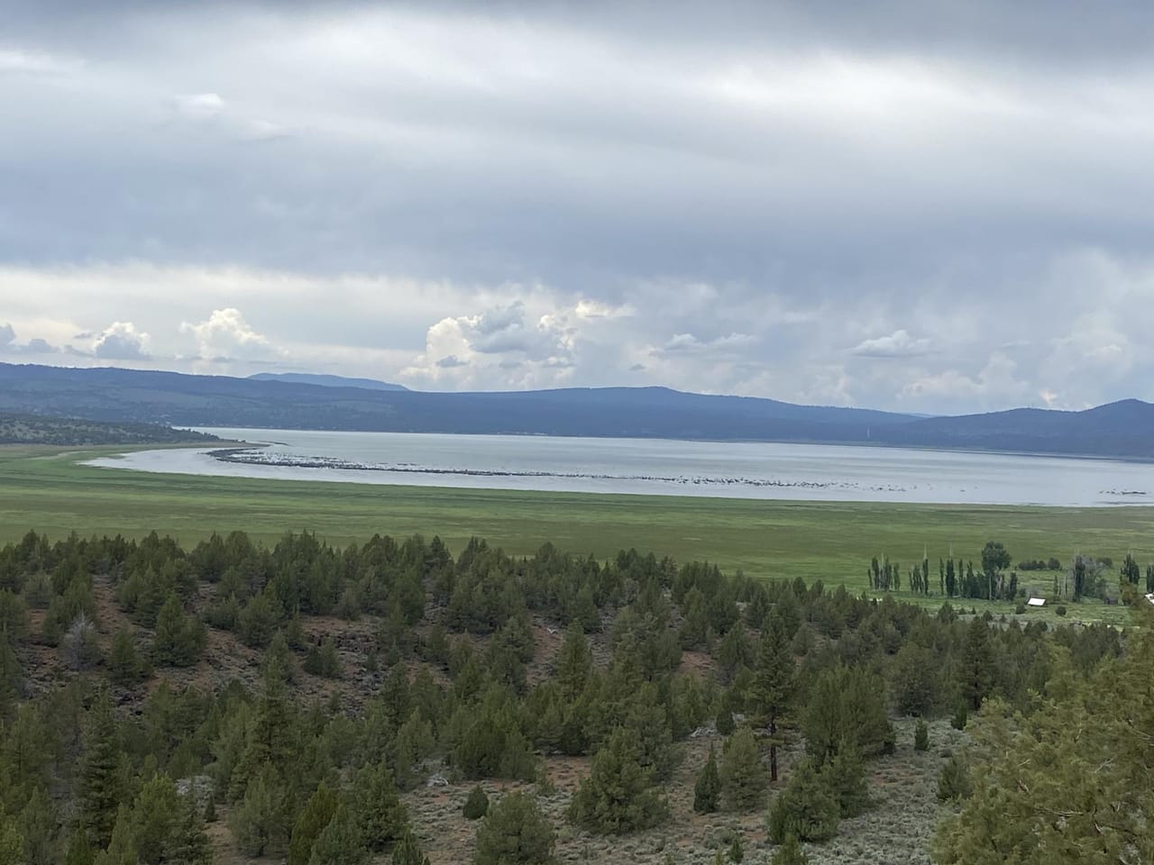 Listing Image 5