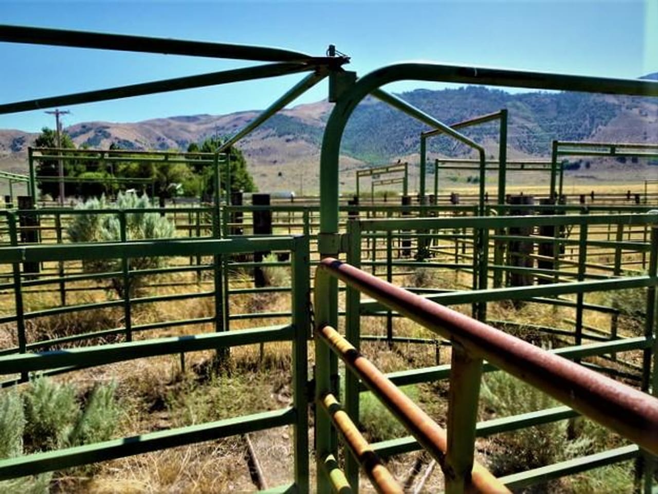 Listing Image 6