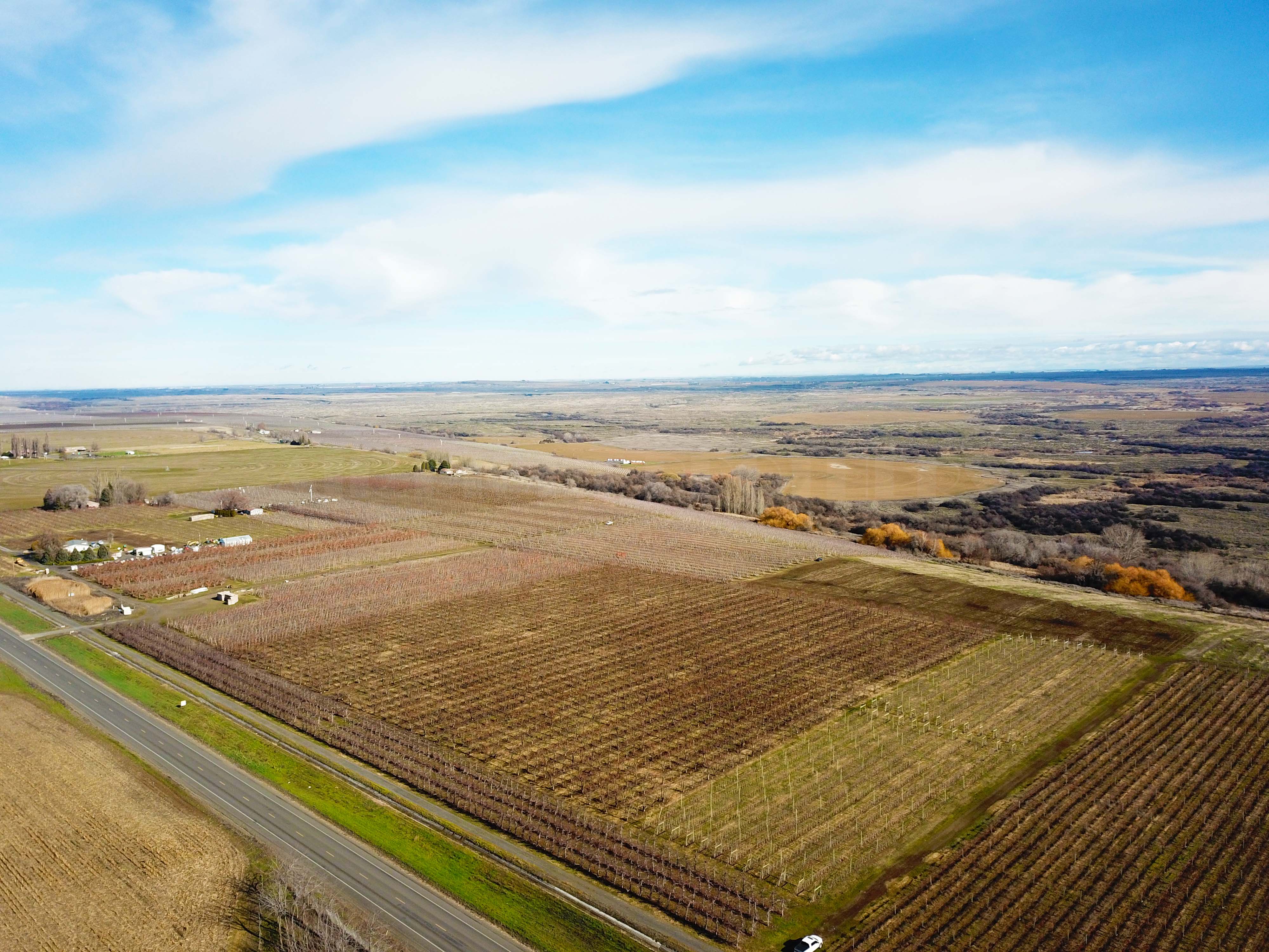 Best Price in County for Productive Orchard
