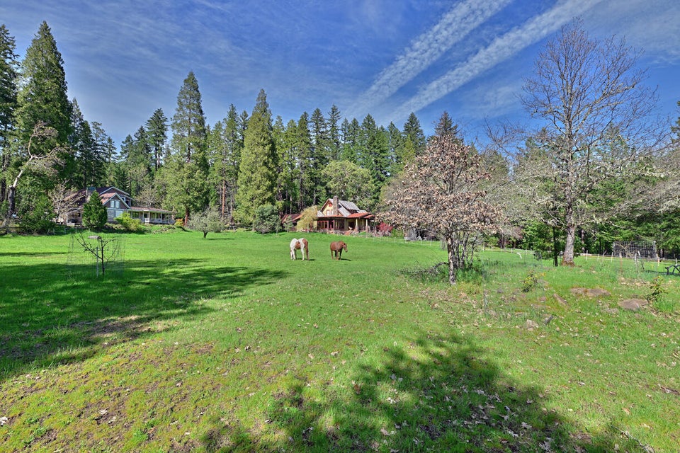 Listing Image 101