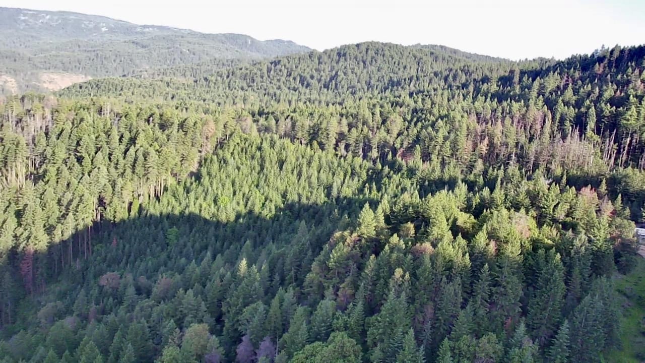 Listing Image 50