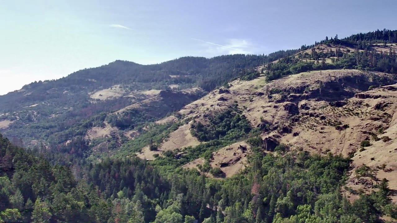 Listing Image 60