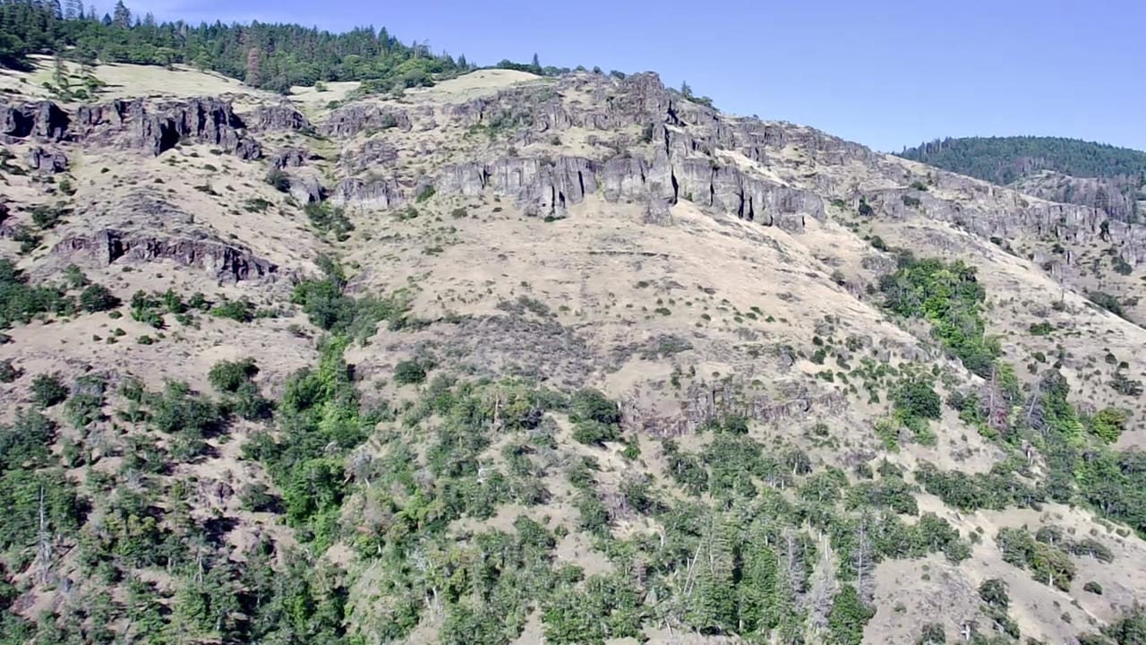 Listing Image 61