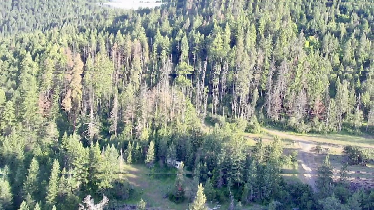 Listing Image 31