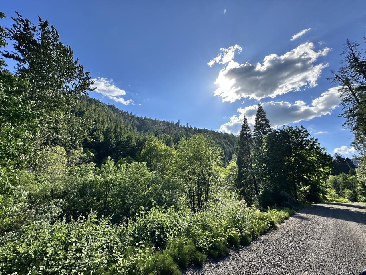 Listing Image 45