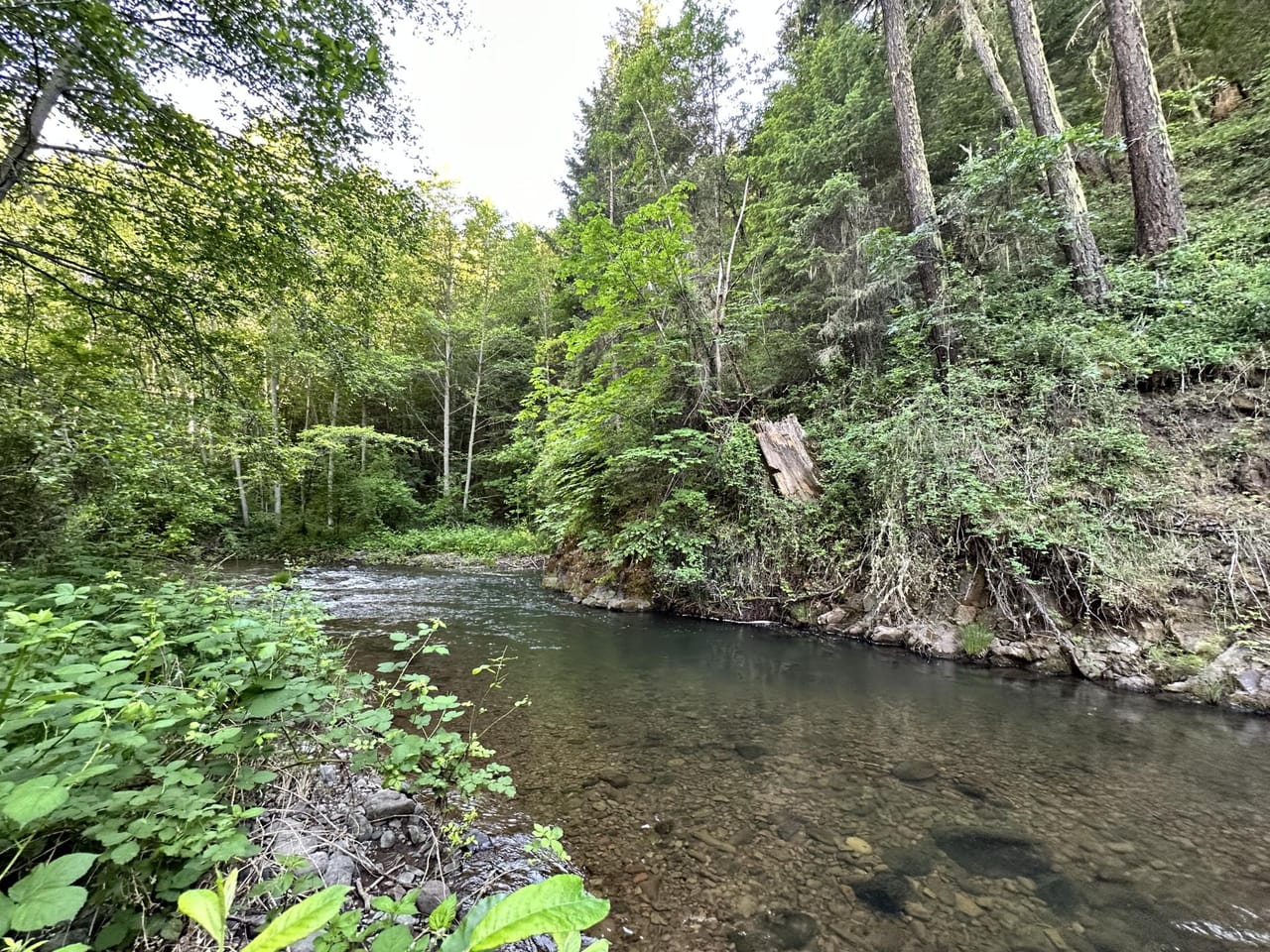 Listing Image 47
