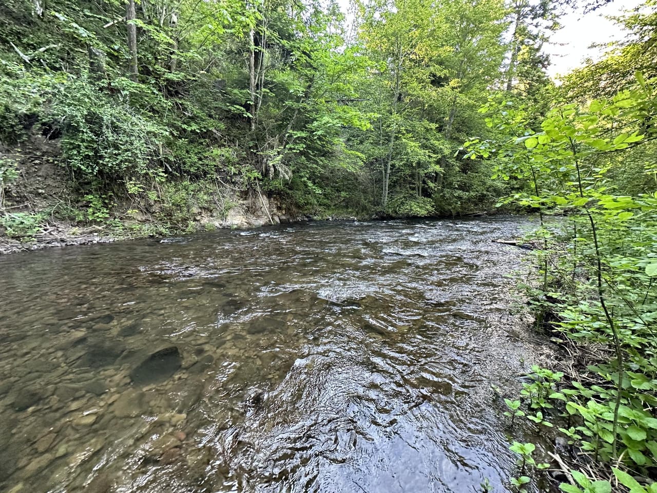 Listing Image 48