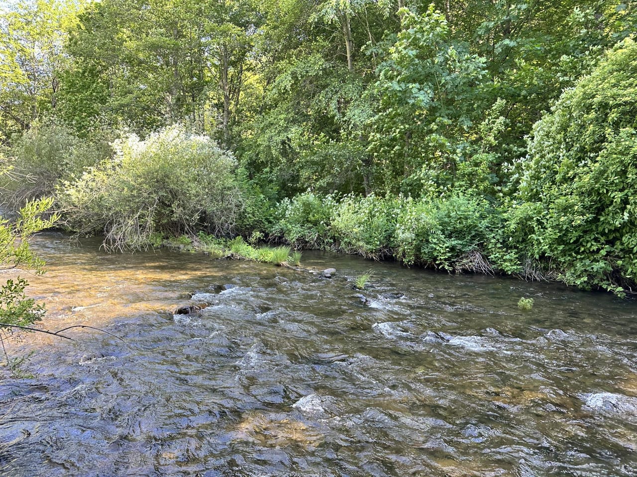 Listing Image 26