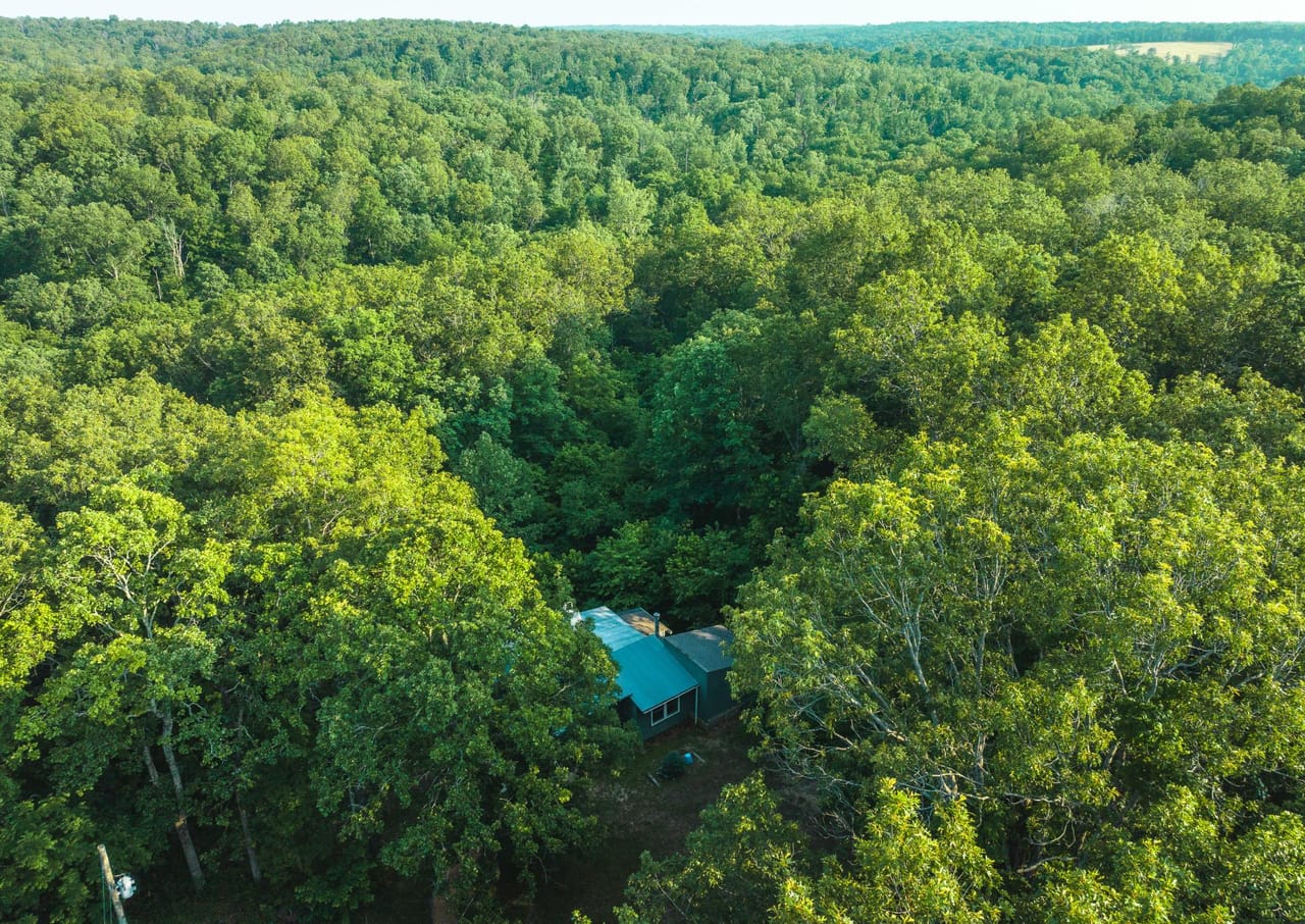 Listing Image 14