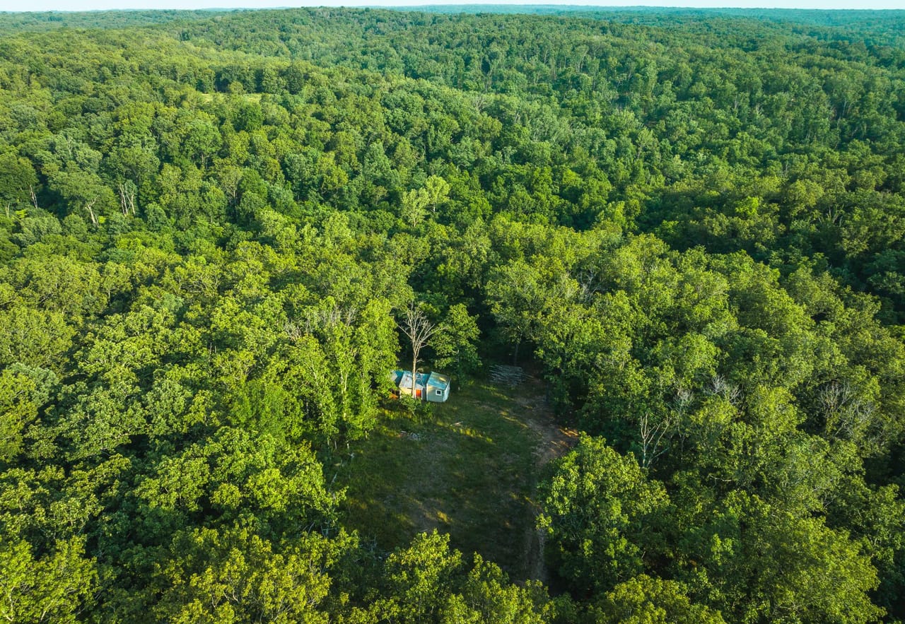 Listing Image 15