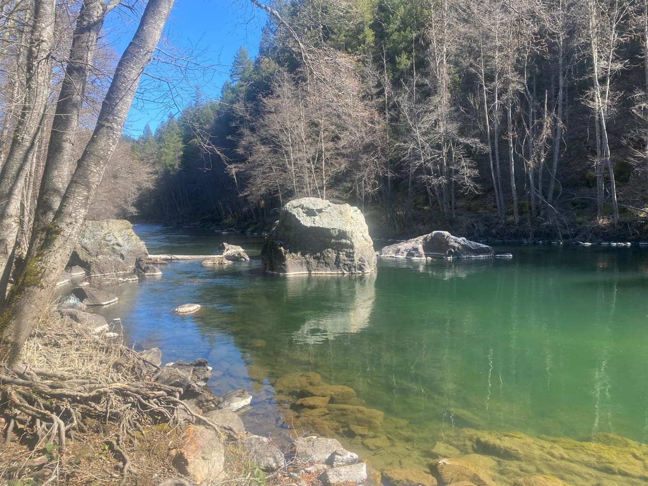 Listing Image 10