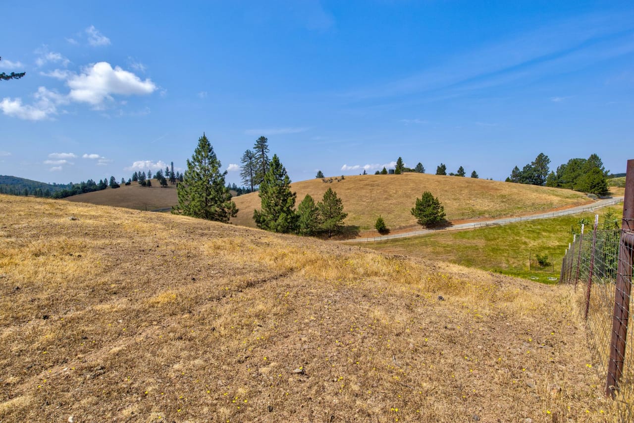 Listing Image 78