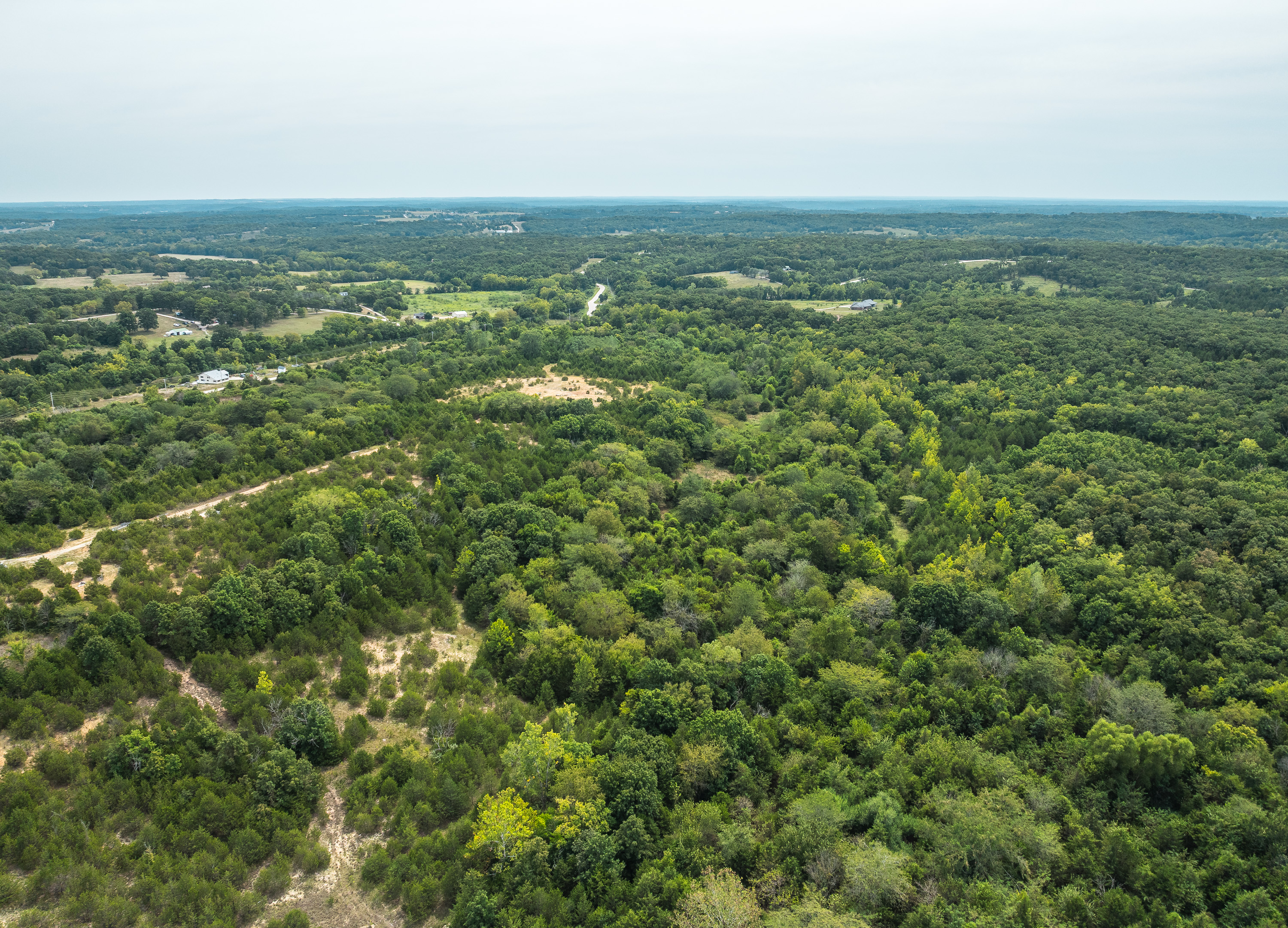 Hickory Hill Hollow