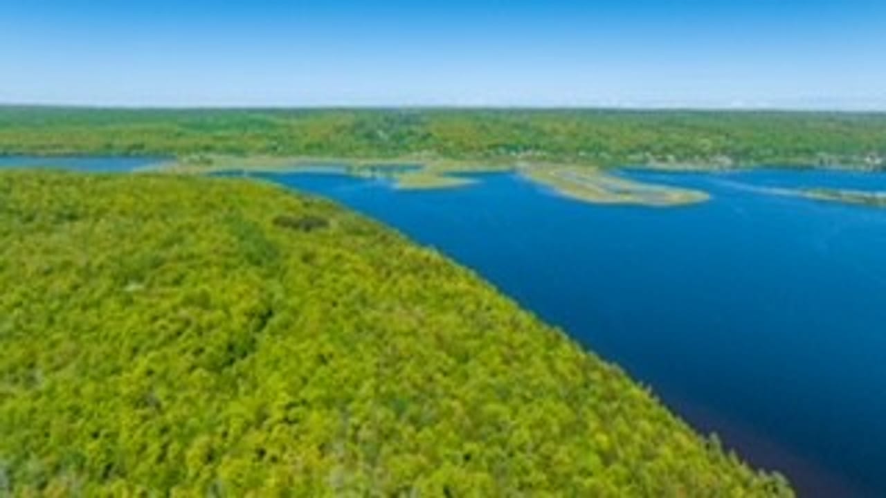 Michigan Lakefront Parcel 50112910