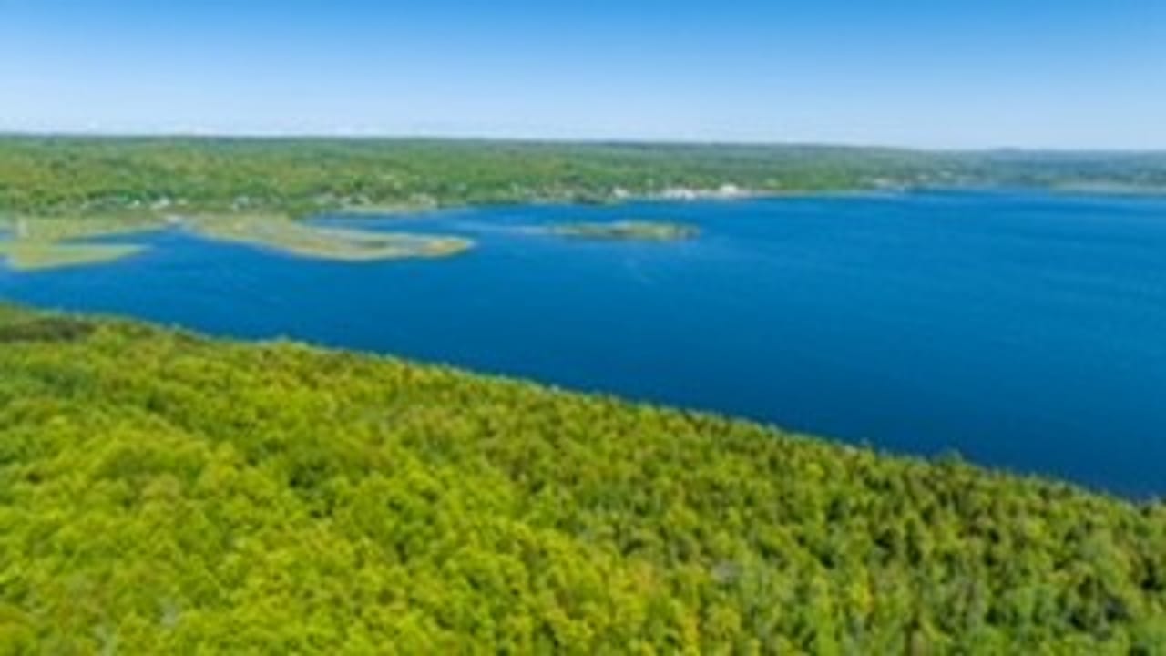 Michigan Lakefront Parcel 50112910