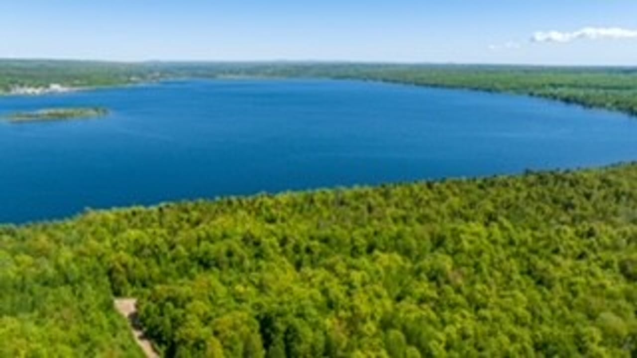 Michigan Lakefront Parcel 50112910