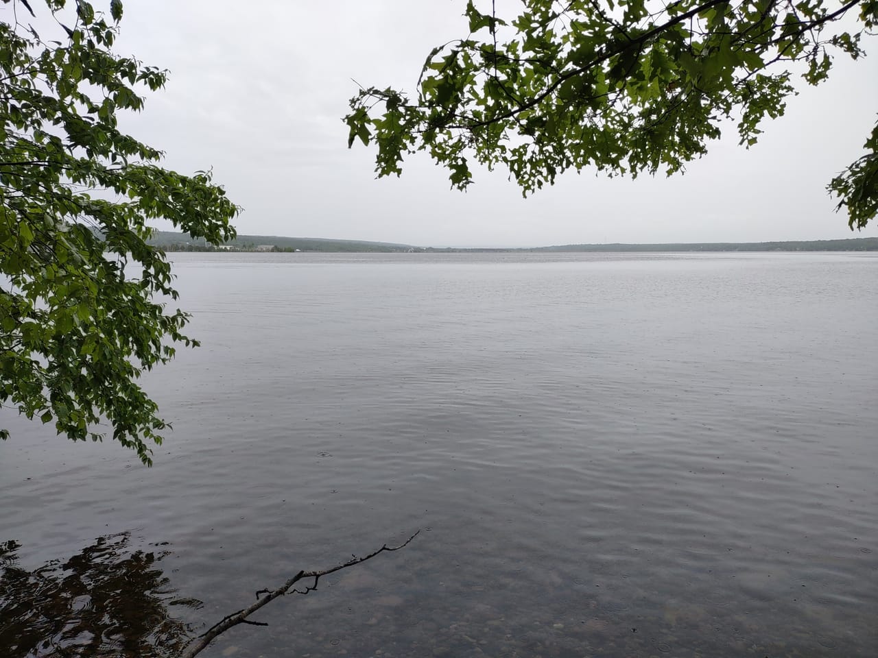 Michigan Lakefront Parcel 50112910
