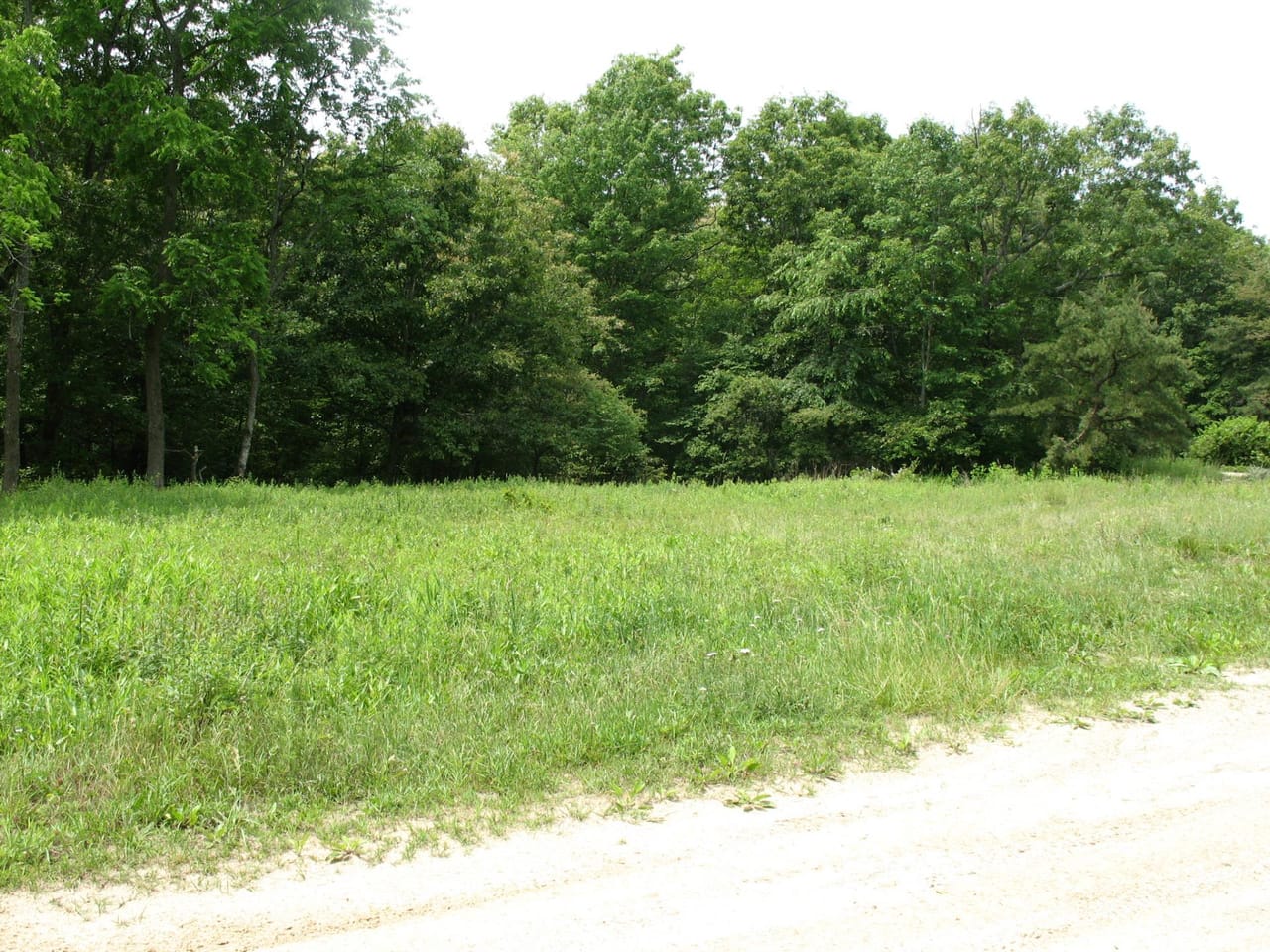 Listing Image 66
