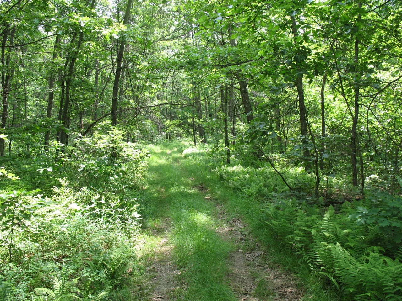 Listing Image 70