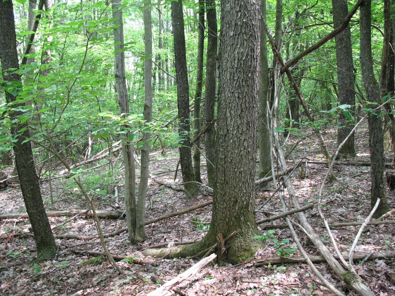Listing Image 71