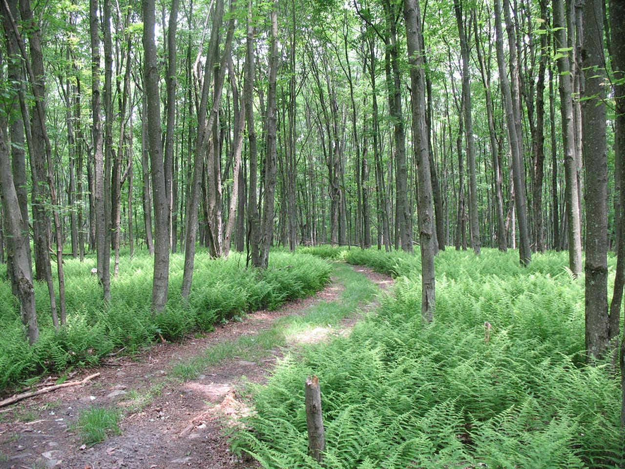 Listing Image 17