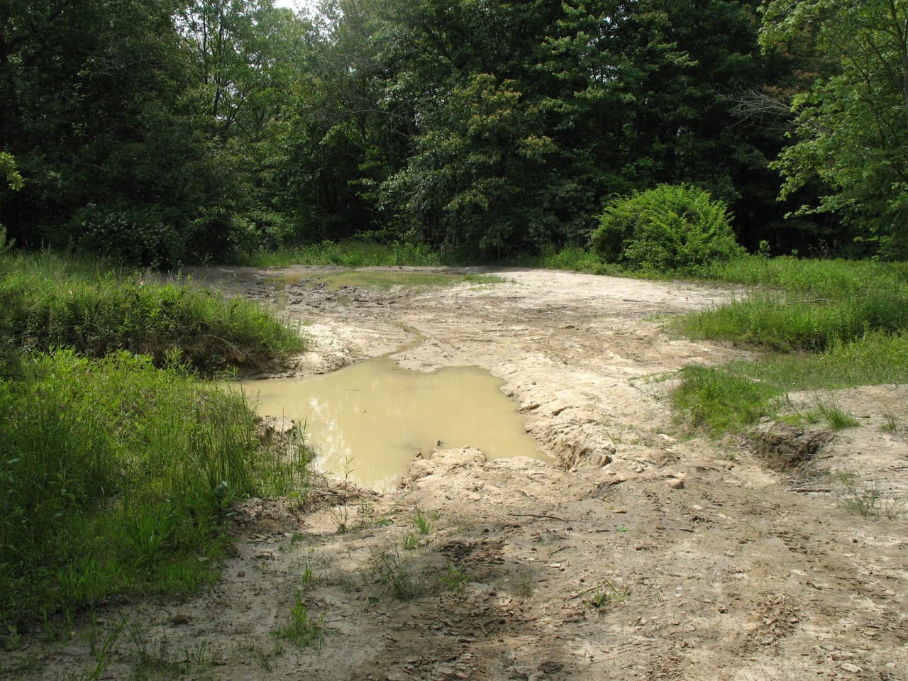Listing Image 36