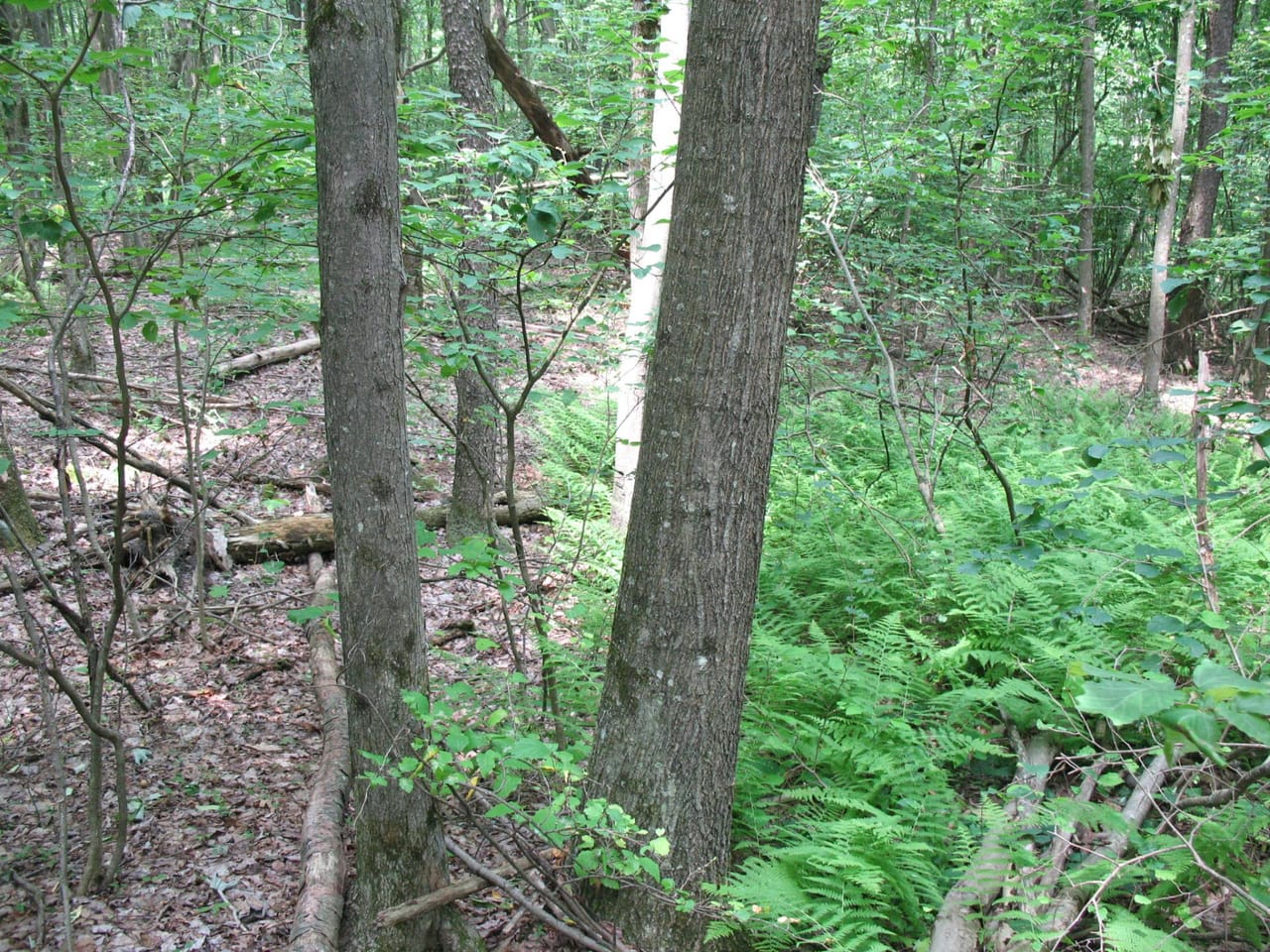 Listing Image 47