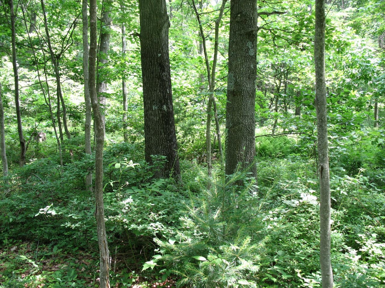 Listing Image 3
