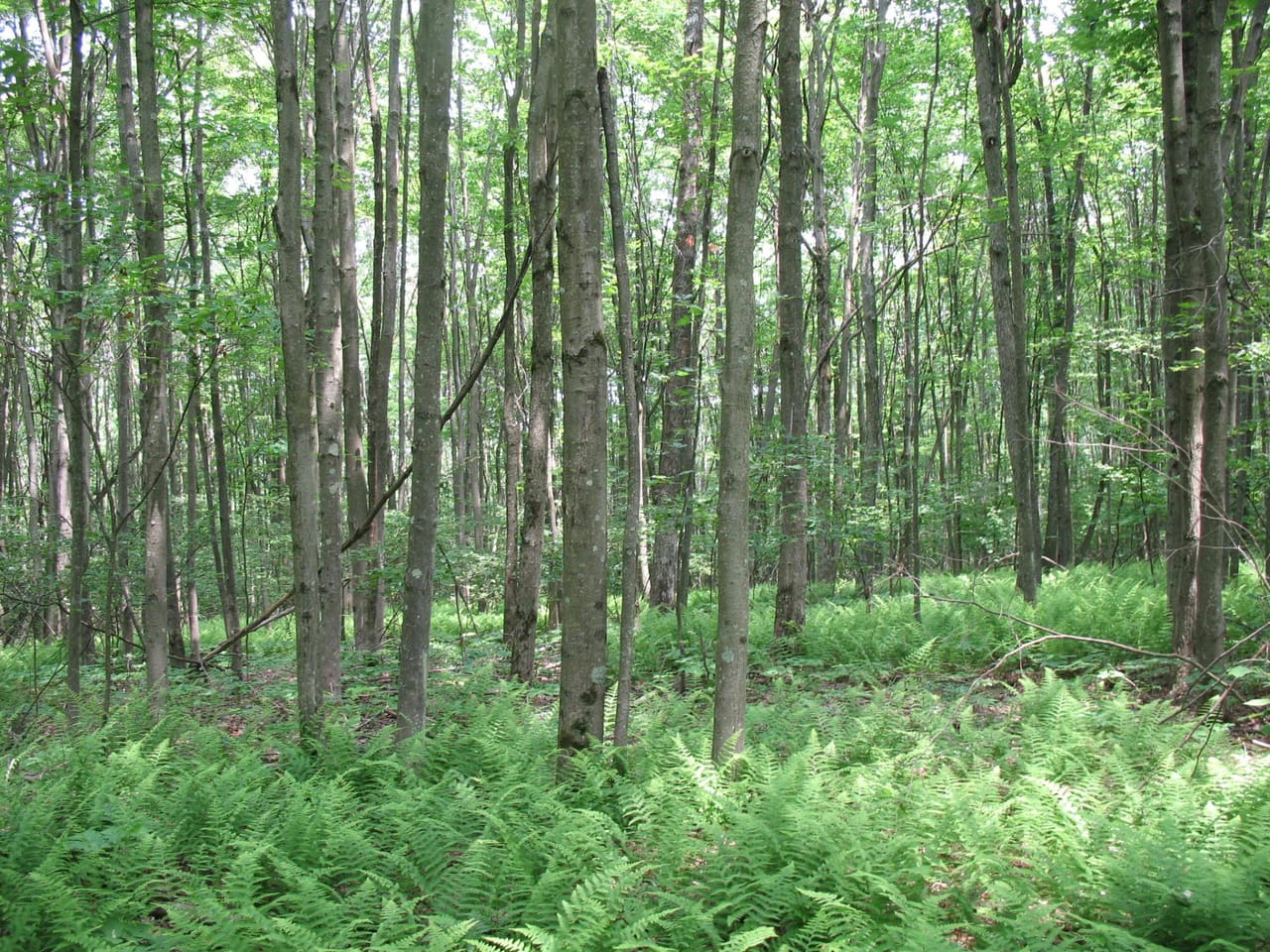 Listing Image 22
