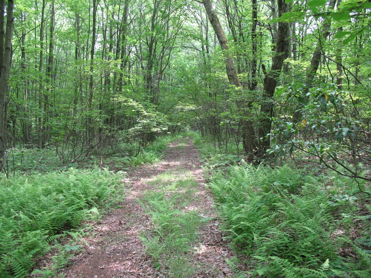 Listing Image 29